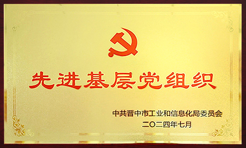 2024年先進(jìn)基層黨組織